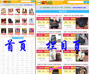 聚人气抢购模板